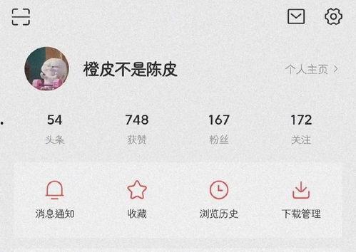 微头条千粉和百粉,揭秘微头条内容创作者的崛起之路